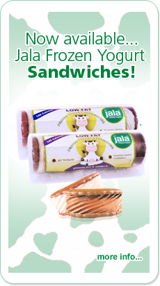 ice cream sandwiches